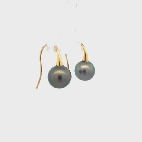 Black South Sea Pearl Drop Earrings in Yellow Gold | 10.00mm