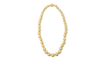 Golden South Sea Pearl Necklace