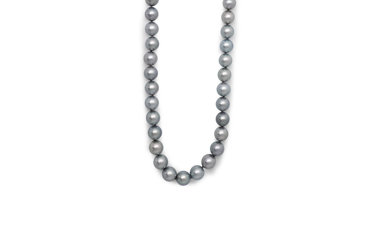 Blue Tahitian Pearl Strand Necklace with a Diamond Set Gold Clasp The Village Goldsmith