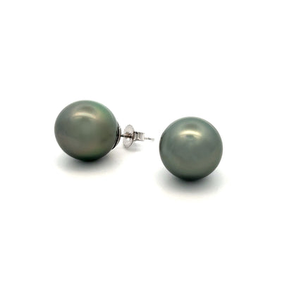 Black Tahitian Pearl Stud Earrings in White Gold