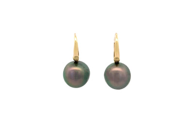Avaiki Black Round Pearl Drop Earrings in Yellow Gold | 10.00mm