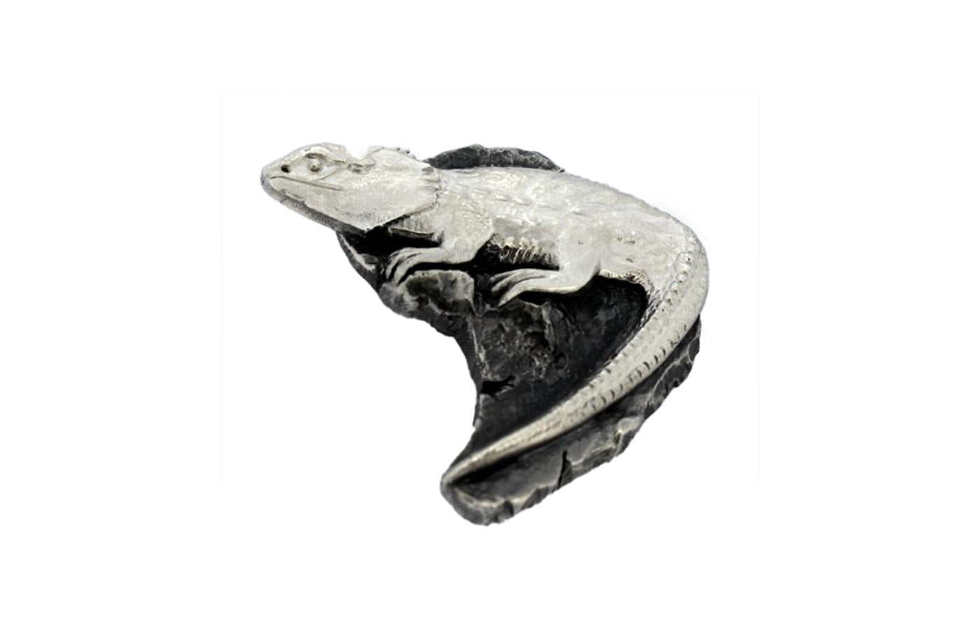 Tuatara Brooch