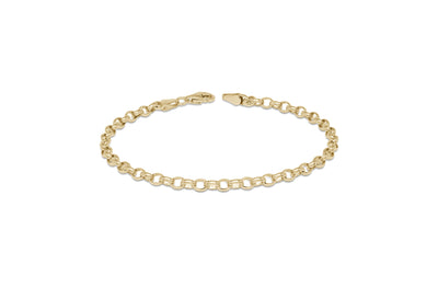 Oval Belcher Chain Bracelet in 9ct Gold