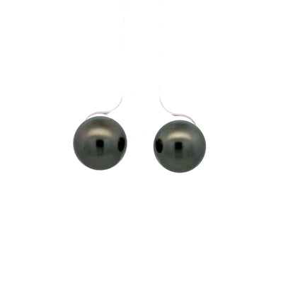 Black Tahitian Pearl Stud Earrings in White Gold