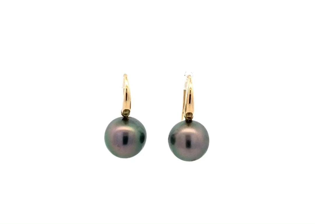 Avaiki Black Round Pearl Drop Earrings in Yellow Gold | 10.00mm