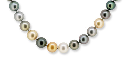 Black, Golden and White South Sea Pearl Strand Necklace