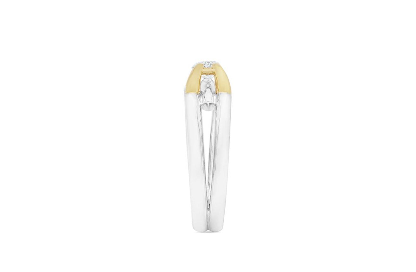 Inspired Collection, Tusk, Elephant, Platinum, 18k, 18ct, White gold yellow gold, brilliant cut, round cut, specialist, contemporary, modern, jewellery, jewelry, engagement ring, ring design, inspired design, tension setting 